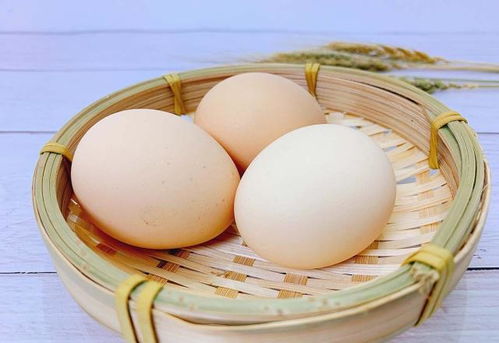 鸡蛋羹 炒鸡蛋 水煮蛋哪种营养最高,别再纠结了,选它就对了