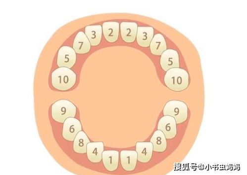 婴儿出牙 宝宝一般几个月开始出牙出牙时有什么表现