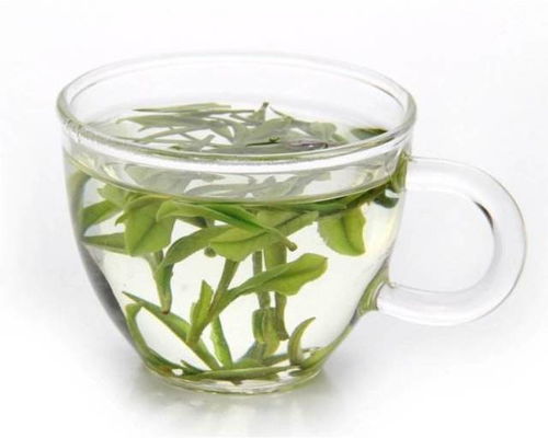 怎么分辨白茶是不是绿茶,白茶和绿茶有什么区别