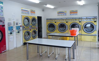 全自动洗衣机清理大作战：轻松学会专业清洗技巧
