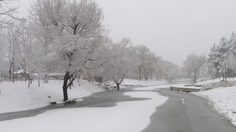 冬天雪后的公园美景的作文