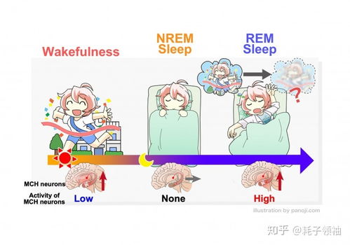 为什么通常人们都难以记住梦中发生的事 