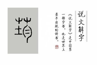 说文解字 第83课 看 芒 字的解释,你会更佩服司马迁