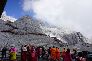 两个小白羊的云南之旅 双廊 玉龙雪山 拉市海