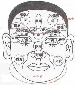 面相解读 面相金不换歌诀,熟读运势便可自己知悉