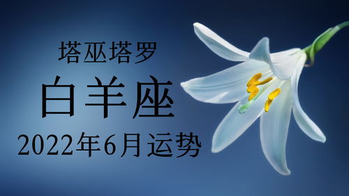 塔巫塔罗 白羊座2022年6月运势,有旧能量回归,有感情复燃的可能 