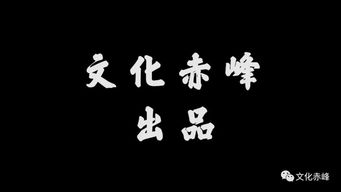 赤峰这对双胞胎的命运堪比启示录 同年同月同日生,命运竟这么不同