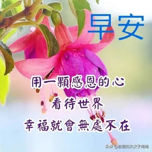 7月27日最漂亮的早上好祝福语图片温馨 清晨群发短语暧心问候动图