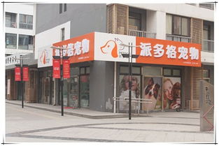 广州番禺沙头有宠物店吗？最便宜多少钱想养一只