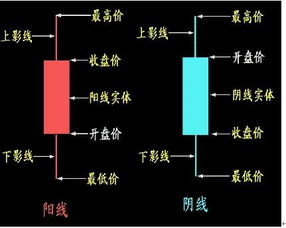 开盘价和收盘价是什么意思啊