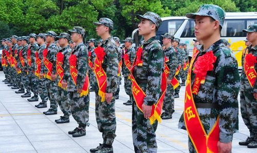 请问高中生学习不好,想去当兵,有选择的余地吗