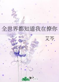 全世界都知道我在撩你 艾芩 晋江文学城 