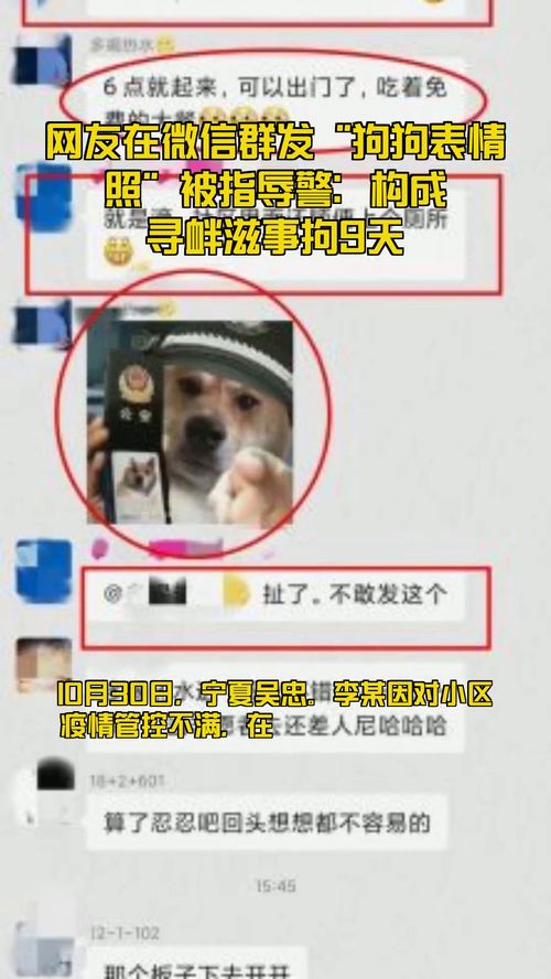 网友在微信群发 狗狗表情照 被指辱警 构成寻衅滋事拘9天 