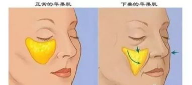 阿Sa冻卵登热搜第一 零差评的她却被说心机深