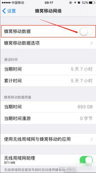 iphone一天怎么用100m流量