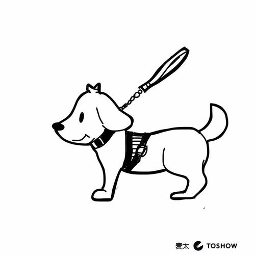 一组手绘漫画,记录导盲犬的进站乘车旅程 