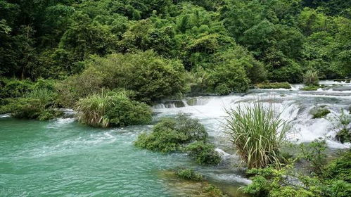 贵州旅游十大旅游景点排名,贵州旅游胜地介绍,哪几个景点好玩