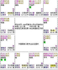 求教高手分析该命盘的意思 感激不尽 