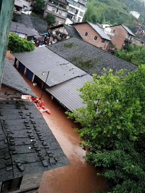 泸州暴雨 河水暴涨淹没街道 房屋,这些事情要注意....