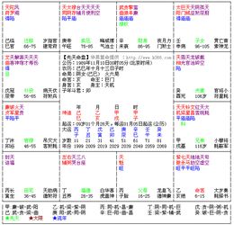 哪位好心的大师给我看看紫薇排盘,我有点好奇 