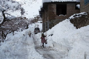 阿富汗遭受大雪灾害侵袭 雪崩已致124人丧生 