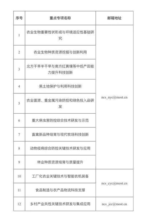 国网总经理简历范文—国家电网职务怎么填写？