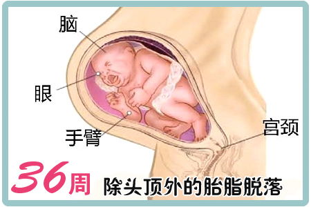 请问怀孕36周胎儿老在右边动是怎么回事啊为什么宝贝老是在