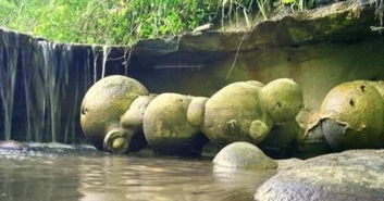 奇怪的石头遇水就猛长,从几克长到几吨