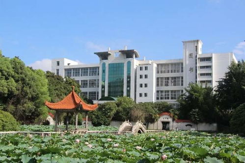 武汉工程大学邮电与信息工程学院2021年招生章程 含艺术类