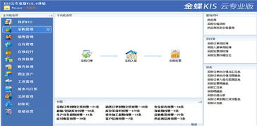 做金蝶软件销售，这行业如何样？