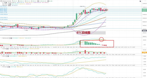 BTC最新价格,btc最新价格行情k线