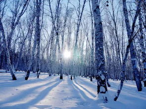 雪景怎么造句—下雪造句一年级简单的？