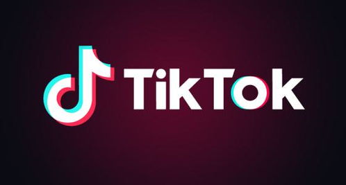 美国版的tiktok_tiktok刷赞平台