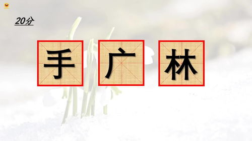 手广林组汉字 都拼的是些什么字 文字真有趣 