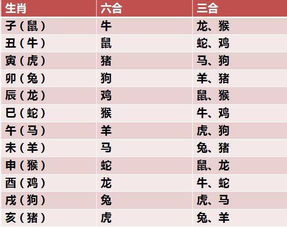 重磅 2018 狗年综合运势排行榜及年运提醒