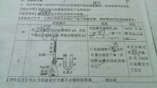 酸碱盐，初三化学酸碱盐是什么啊