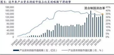 个人投资者持股最高上限是多少