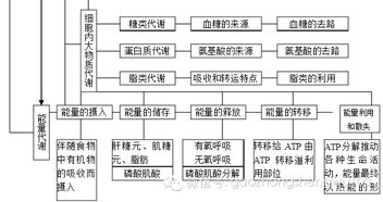 知识汇总丨五张图,搞定高中生物重难点 