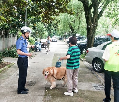 今晨 宁波市养犬管理执法开出首批罚单 