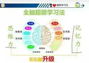 给孩子做学习力免费测试报名中.... 