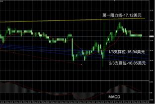 标记临床研究盘中异动 临近收盘大幅跳水5.13%报14.78美元