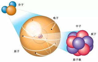 原子核 有个东西叫做中子 中子是什么东西 为什么名字叫做中子 没有中子 原子核会什么样