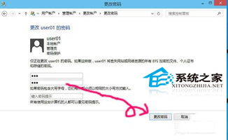 win10用户名怎么修改密码