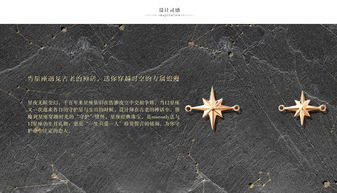 双子座 9K玫瑰金 新版具象项链 roseonly诺誓 