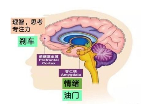 一年级男孩打掉同学牙齿,孩子爱打人这件事我们可以这么教