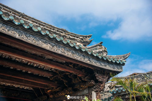 潮州最漂亮的祠堂,集木雕艺术大成于一体,精彩绝伦