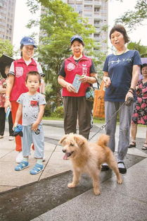 养犬管理深圳标准体系有望出台 