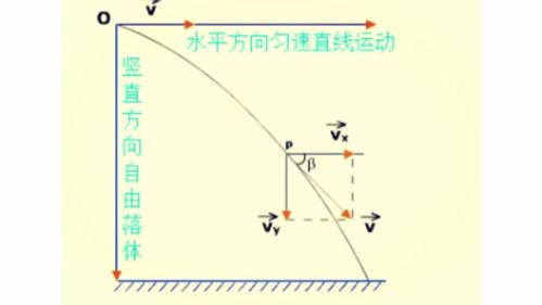 人的命运是注定的吗 是否可以用量子力学来证明