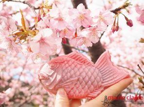 这个春天 你和樱花有一场粉红色的约定