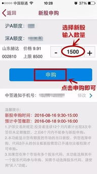 新股申购新规则怎么查看自己中签，中签后怎么缴款